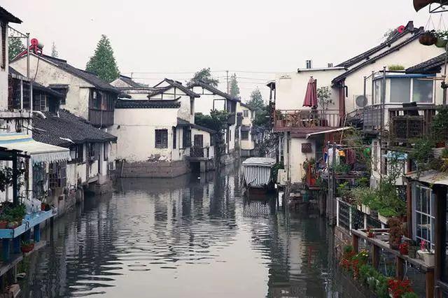 虎鲸吃鲨鱼吗？鲨鱼真的怕虎鲸吗？游戏画面